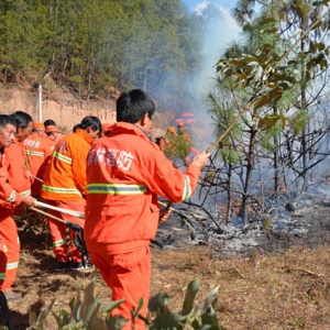 云龙天池国家级自然保护区管护局开展森林 火灾扑救应急演练