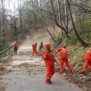 天池管护局开展林缘可燃物清理和有害生物防治