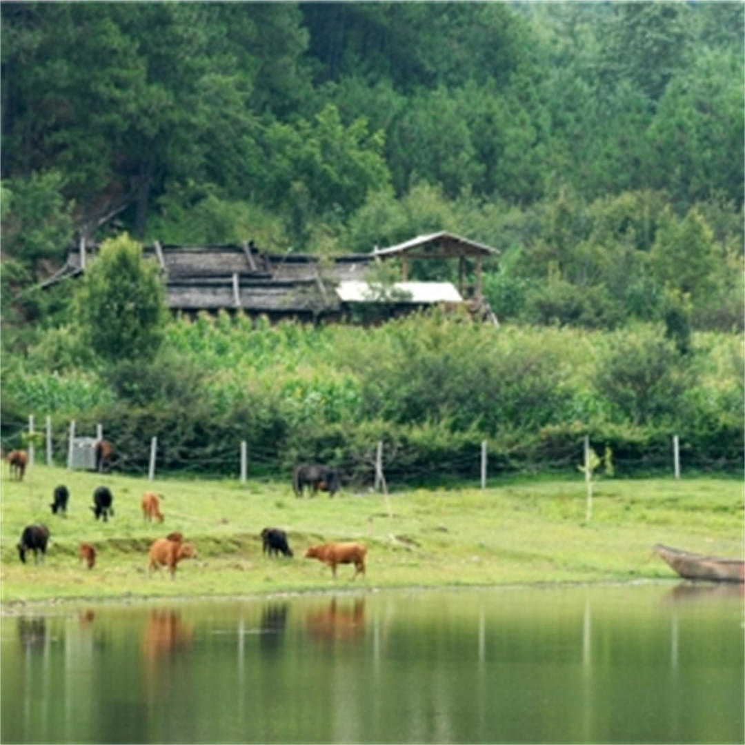 天池人家