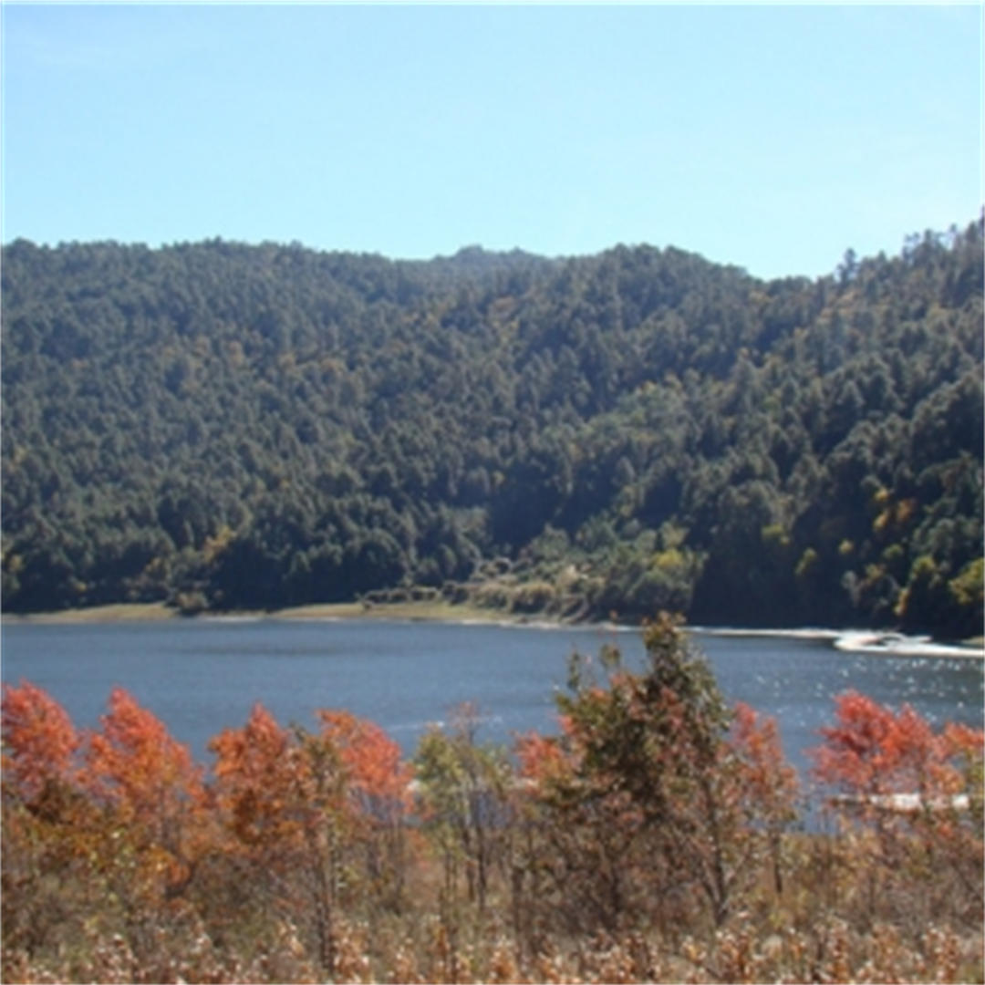 天池秋景