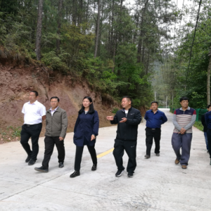 县委书记段冬梅到保护区调研