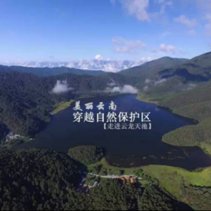 美丽云南·穿越自然保护区——走进云龙天池： “两棵树”搭建天池村脱贫路