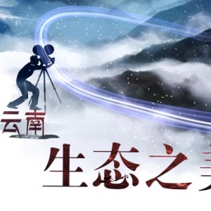 视频：天池自然保护区印象【美丽云南·穿越自然保护区】