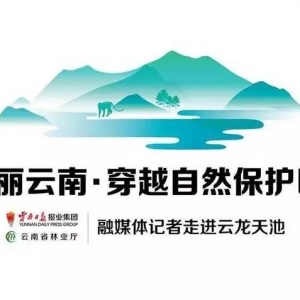 新猴群的“发现之旅”