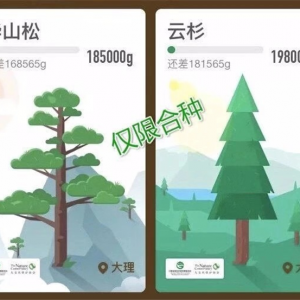 “滇金丝猴全境保护网络” 首个保护项目落地大理云龙