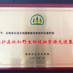 云南云龙天池国家级自然保护区管护局被授予“保护森林和野生动植物资源先进集体”称号