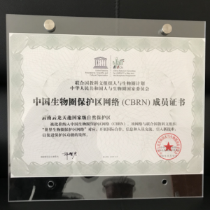 云南云龙天池国家级自然保护区管护局 正式成为中国生物圈保护区网络成员
