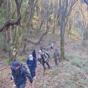 北京大学绿色生命协会社团成员到天池保护区开展社会实践活动 ... ... ...