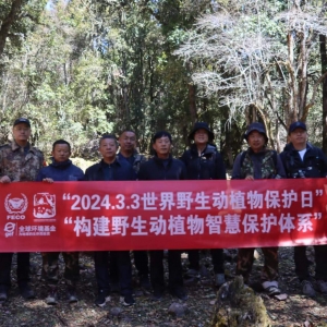 公众参与科研监测，用影像保护滇金丝猴