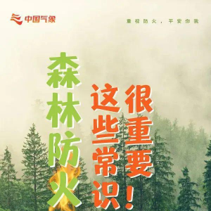 世界森林日丨关于森林防火 这些常识很重要→
