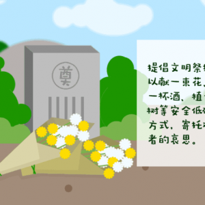 森林防火|清明将至，这份森林防火攻略请收好！