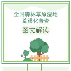 一图解读全国森林草原湿地荒漠化普查