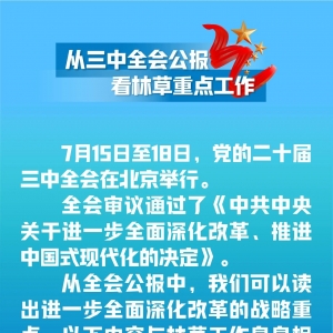 三中全会公报：这些内容与林草工作息息相关