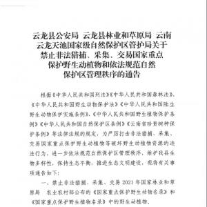 关于禁止非法猎捕、采集、交易国家重点保护野生动植物和依法规范自然保护区管理 ...