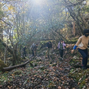 云龙县多方联动共护五宝山生态廊道 助力滇金丝猴种群保护与社区发展 ...
