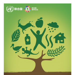 第14个国际森林日 | 我国森林生态系统“三大效益”得到有效发挥 ... ...