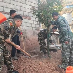植此青绿 共建共享生态美