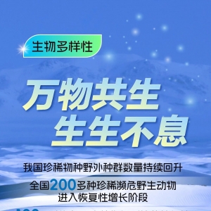 六五环境日 | 今天，让林草站C位